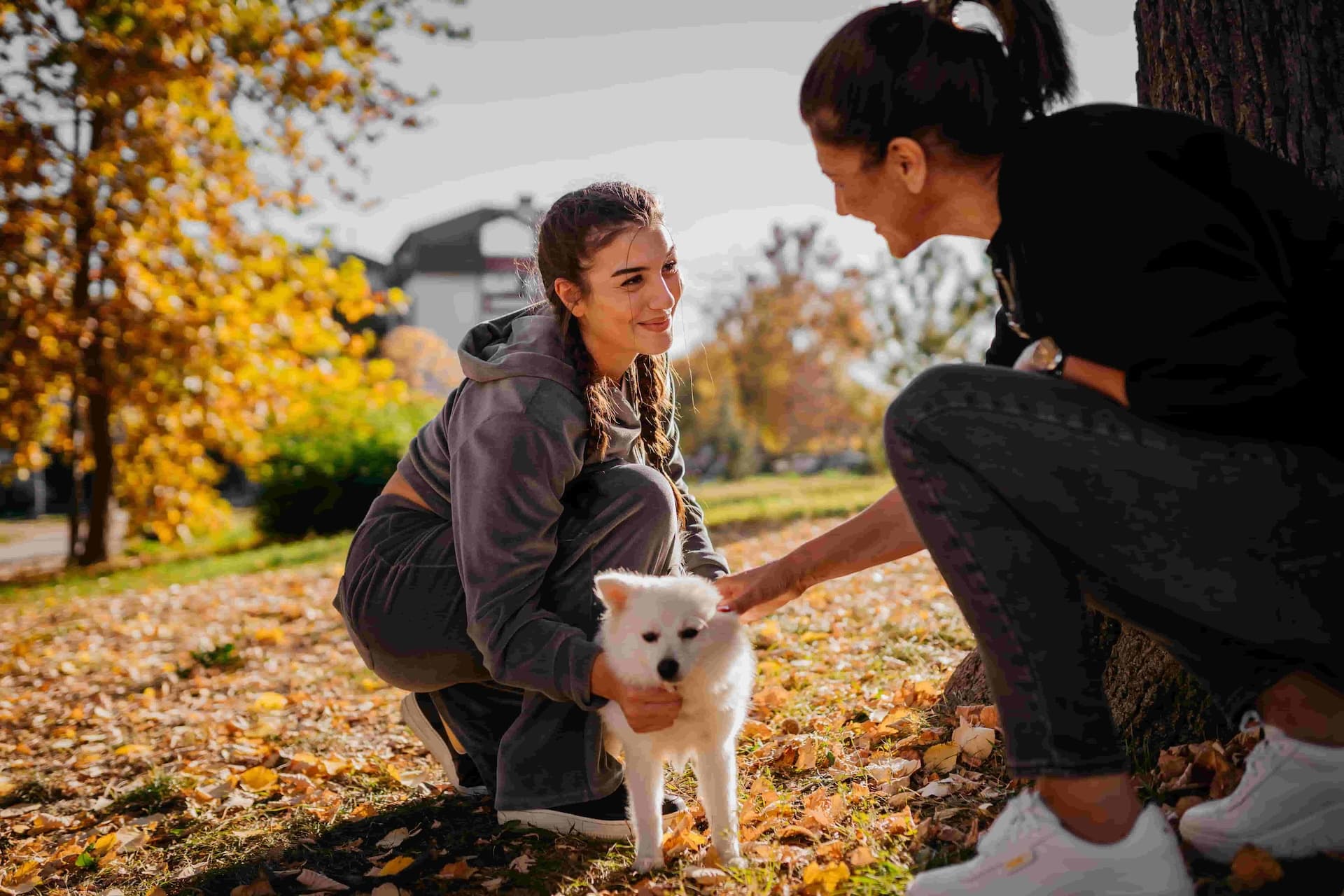 two women in the park petting a dog